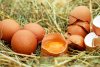 Skorupki od jajek na zmarszczki - jak je wykorzystać?